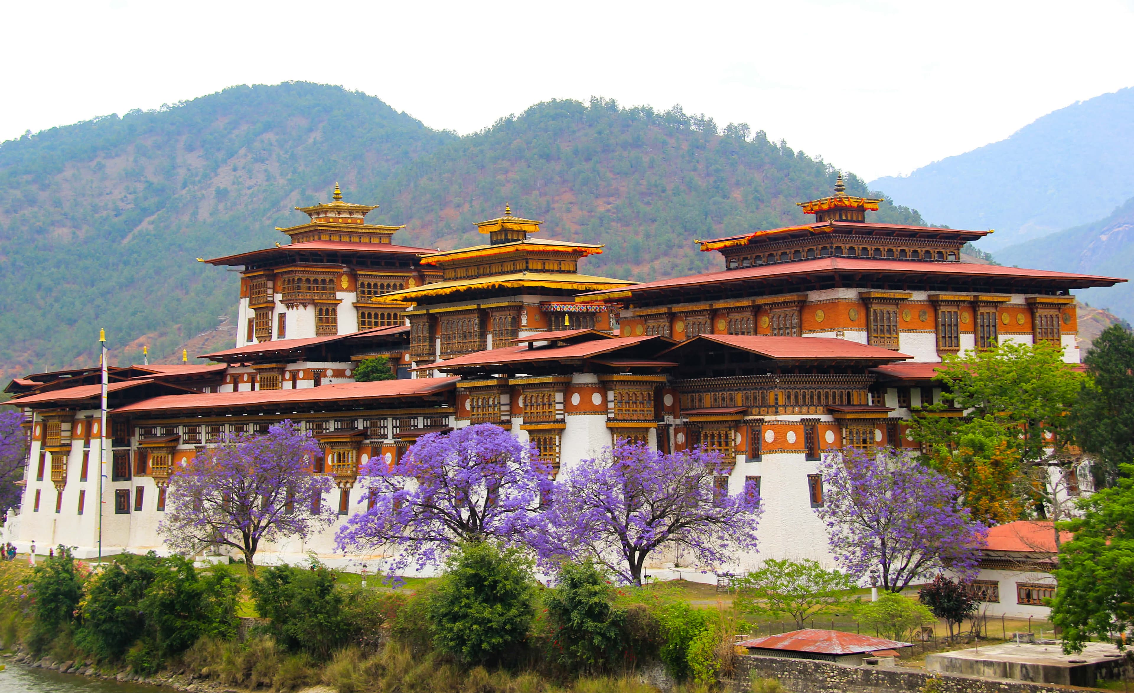 Beautiful nature scene 1