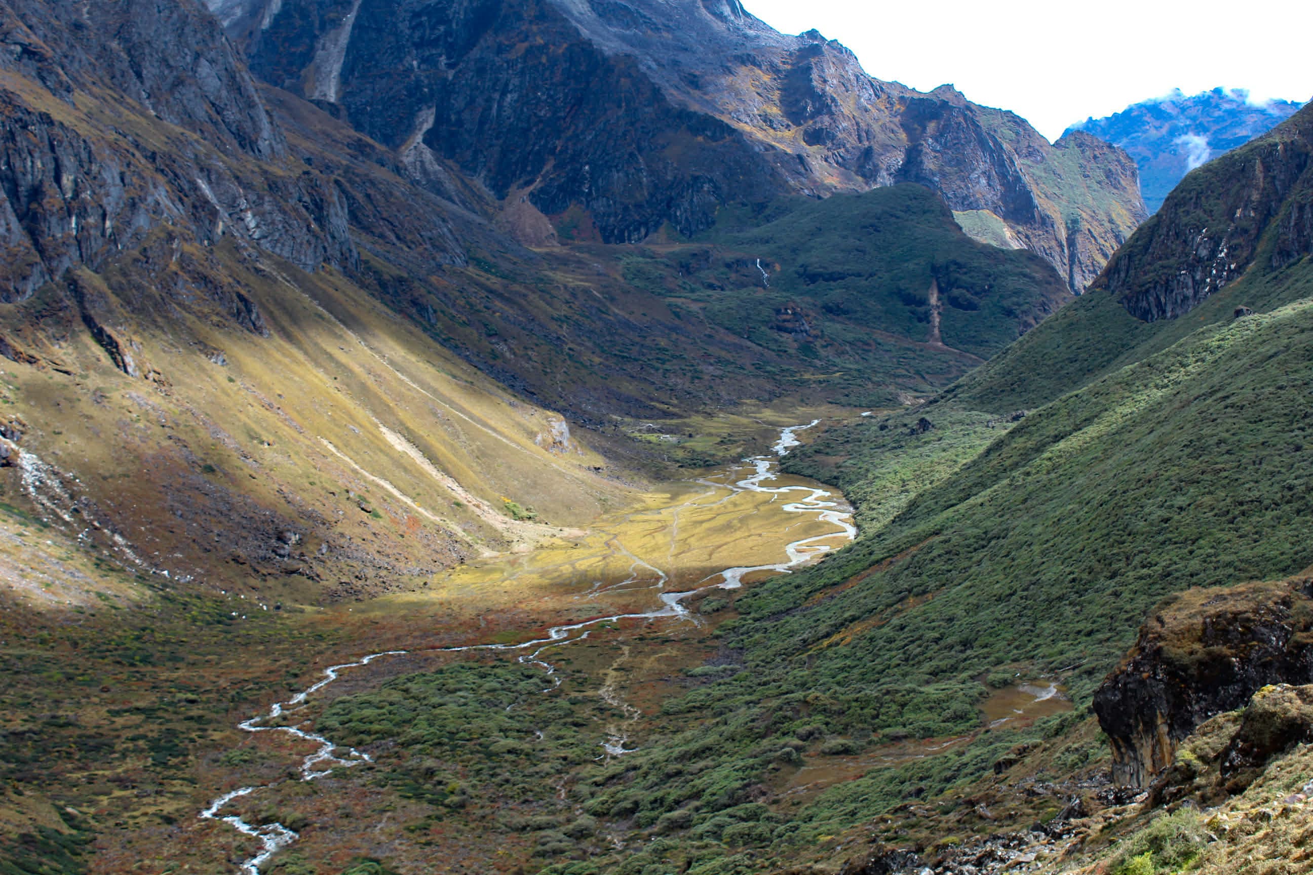 Beautiful nature scene 2